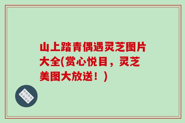 山上踏青偶遇灵芝图片大全(赏心悦目，灵芝美图大放送！)