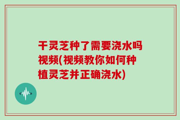 干灵芝种了需要浇水吗视频(视频教你如何种植灵芝并正确浇水)