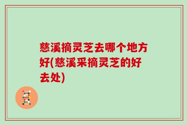 慈溪摘灵芝去哪个地方好(慈溪采摘灵芝的好去处) 慈溪摘灵芝去哪个地方好(慈溪采摘灵芝的好去处)