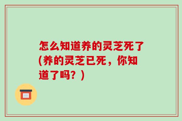 怎么知道养的灵芝死了(养的灵芝已死,你知道了吗?) 怎么知道养的灵芝死了(养的灵芝已死,你知道了吗?)
