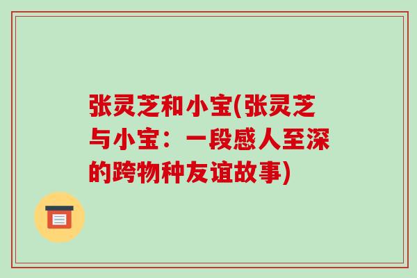 张灵芝和小宝(张灵芝与小宝：一段感人至深的跨物种友谊故事)