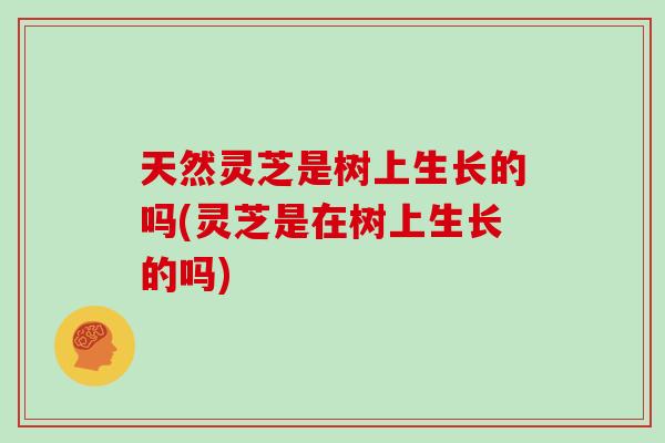 天然灵芝是树上生长的吗(灵芝是在树上生长的吗)