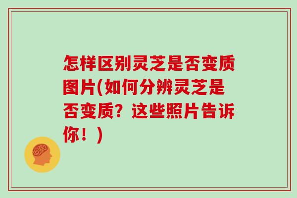 怎样区别灵芝是否变质图片(如何分辨灵芝是否变质？这些照片告诉你！)