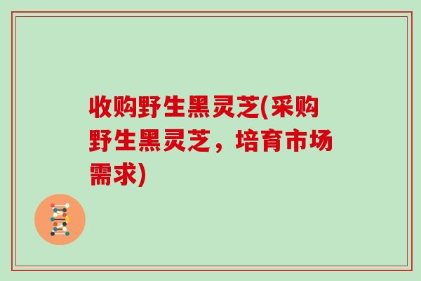 收购野生黑灵芝(采购野生黑灵芝,培育市场需求) 收购野生黑灵芝(采购野生黑灵芝,培育市场需求)