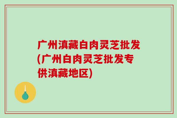 广州滇藏白肉灵芝批发(广州白肉灵芝批发专供滇藏地区)