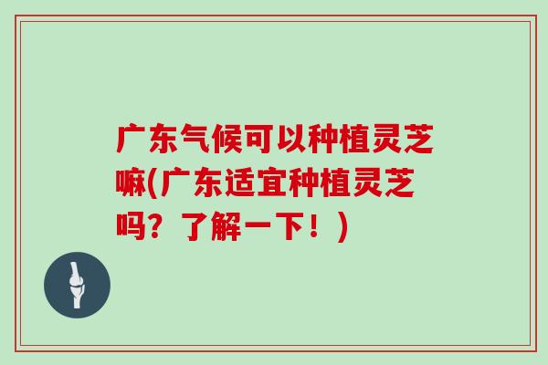 广东气候可以种植灵芝嘛(广东适宜种植灵芝吗？了解一下！)