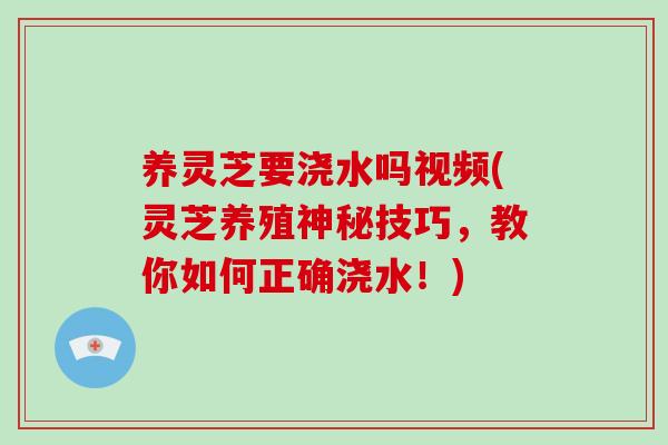 养灵芝要浇水吗视频(灵芝养殖神秘技巧，教你如何正确浇水！)