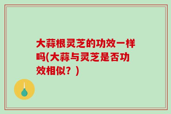 大蒜根灵芝的功效一样吗(大蒜与灵芝是否功效相似?) 大蒜根灵芝的功效一样吗(大蒜与灵芝是否功效相似?)
