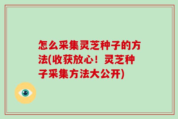 怎么采集灵芝种子的方法(收获放心!灵芝种子采集方法大公开) 怎么采集灵芝种子的方法(收获放心!灵芝种子采集方法大公开)