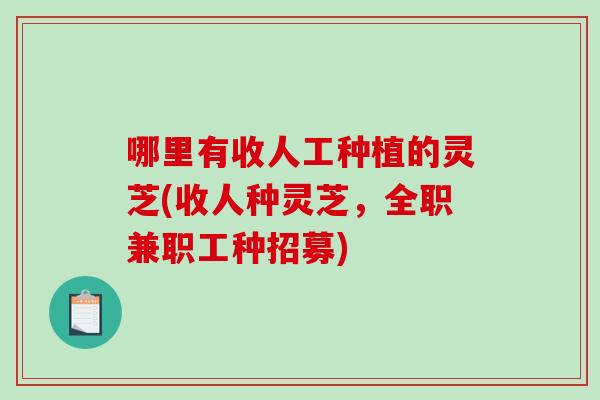 哪里有收人工种植的灵芝(收人种灵芝,全职兼职工种招募) 哪里有收人工种植的灵芝(收人种灵芝,全职兼职工种招募)
