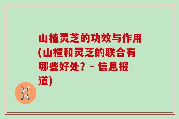 山楂灵芝的功效与作用(山楂和灵芝的联合有哪些好处？- 信息报道)