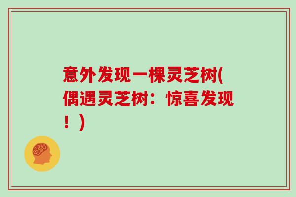 意外发现一棵灵芝树(偶遇灵芝树:惊喜发现!) 意外发现一棵灵芝树(偶遇灵芝树:惊喜发现!)