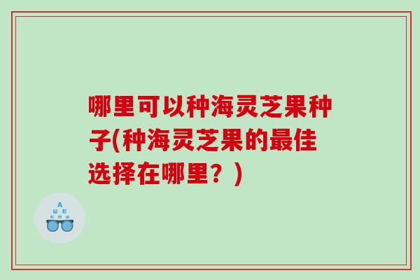 哪里可以种海灵芝果种子(种海灵芝果的佳选择在哪里？)