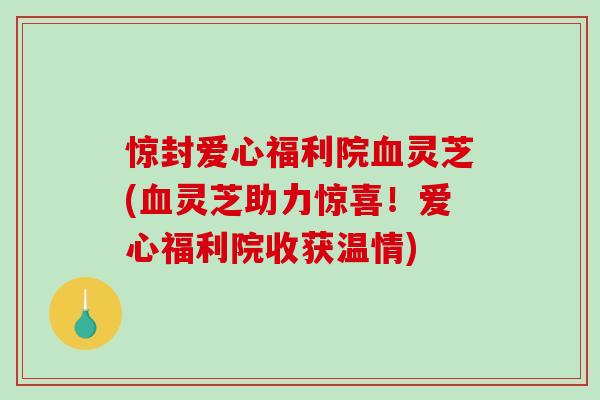 惊封爱心福利院灵芝(灵芝助力惊喜！爱心福利院收获温情)