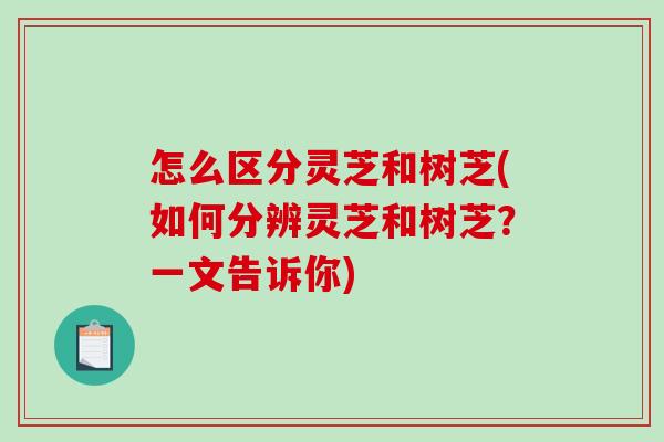 怎么区分灵芝和树芝(如何分辨灵芝和树芝？一文告诉你)