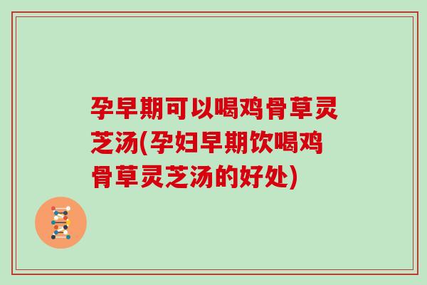 孕早期可以喝鸡骨草灵芝汤(孕妇早期饮喝鸡骨草灵芝汤的好处) 孕早期可以喝鸡骨草灵芝汤(孕妇早期饮喝鸡骨草灵芝汤的好处)