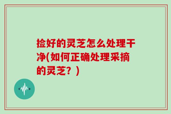 捡好的灵芝怎么处理干净(如何正确处理采摘的灵芝?) 捡好的灵芝怎么处理干净(如何正确处理采摘的灵芝?)