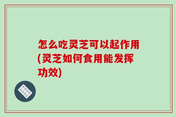 怎么吃灵芝可以起作用(灵芝如何食用能发挥功效) 怎么吃灵芝可以起作用(灵芝如何食用能发挥功效)