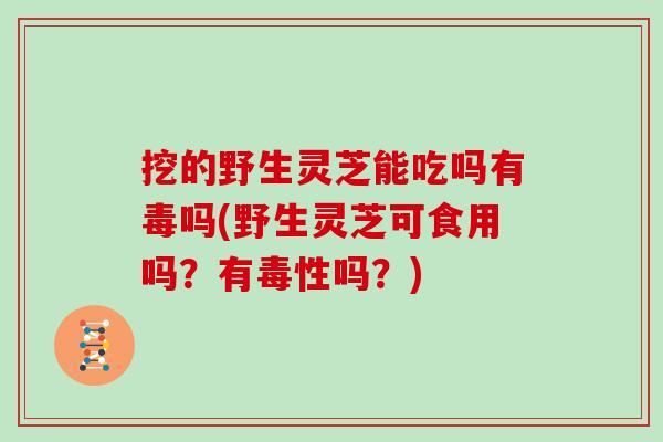 挖的野生灵芝能吃吗有毒吗(野生灵芝可食用吗?有毒性吗?) 挖的野生灵芝能吃吗有毒吗(野生灵芝可食用吗?有毒性吗?)