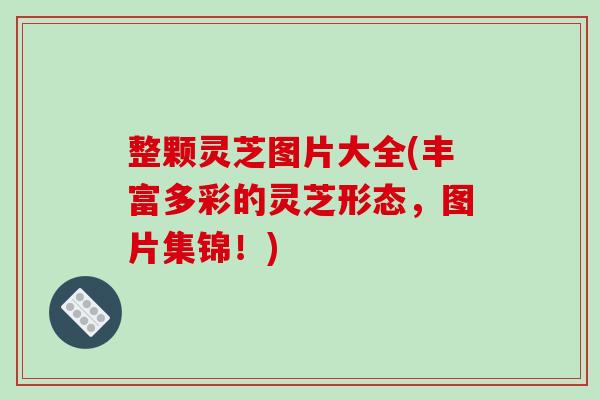 整颗灵芝图片大全(丰富多彩的灵芝形态,图片集锦!) 整颗灵芝图片大全(丰富多彩的灵芝形态,图片集锦!)