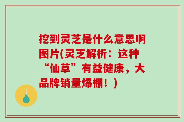 挖到灵芝是什么意思啊图片(灵芝解析：这种“仙草”有益健康，大品牌销量爆棚！)