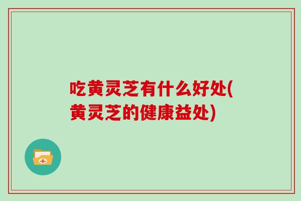 吃黄灵芝有什么好处(黄灵芝的健康益处) 吃黄灵芝有什么好处(黄灵芝的健康益处)