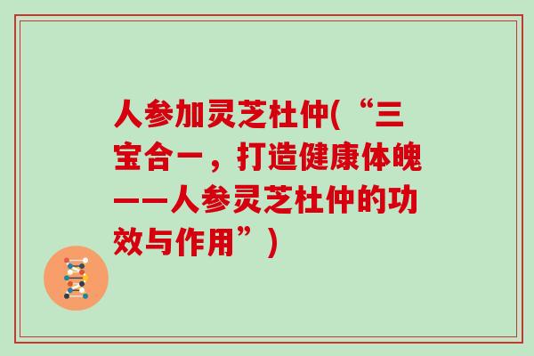 人参加灵芝杜仲(“三宝合一,打造健康体魄——人参灵芝杜仲的功效与作用”) 人参加灵芝杜仲(“三宝合一,打造健康体魄——人参灵芝杜仲的功效与作用”)