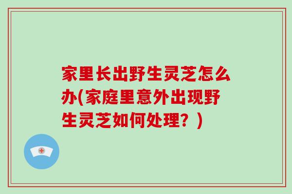 家里长出野生灵芝怎么办(家庭里意外出现野生灵芝如何处理？)