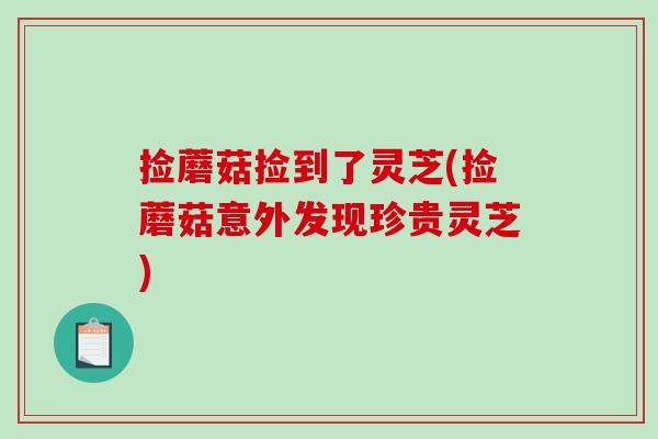 捡蘑菇捡到了灵芝(捡蘑菇意外发现珍贵灵芝)