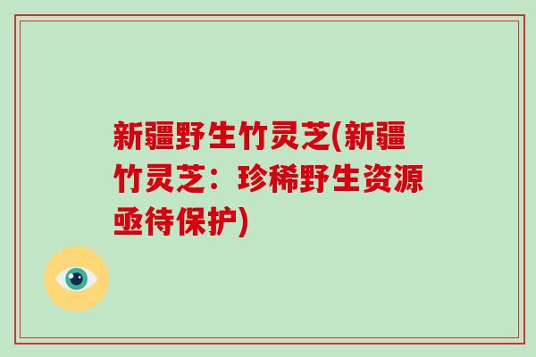 新疆野生竹灵芝(新疆竹灵芝:珍稀野生资源亟待保护) 新疆野生竹灵芝(新疆竹灵芝:珍稀野生资源亟待保护)