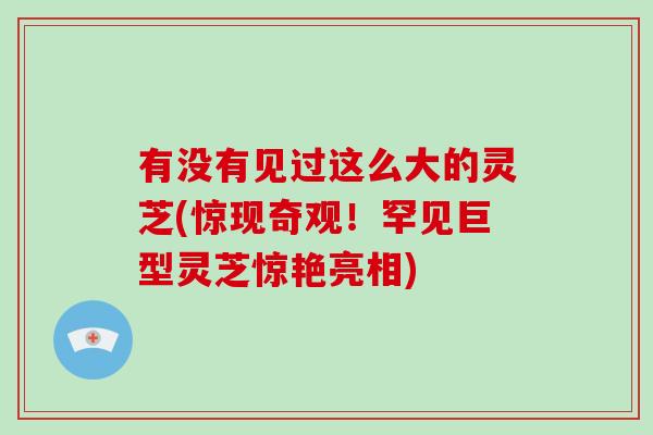 有没有见过这么大的灵芝(惊现奇观!罕见巨型灵芝惊艳亮相) 有没有见过这么大的灵芝(惊现奇观!罕见巨型灵芝惊艳亮相)