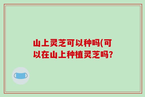 山上灵芝可以种吗(可以在山上种植灵芝吗？