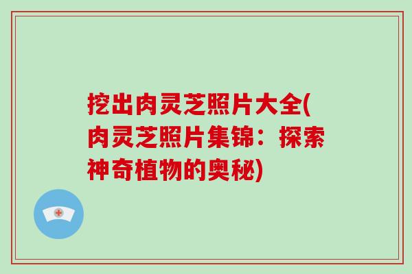 挖出肉灵芝照片大全(肉灵芝照片集锦：探索神奇植物的奥秘)