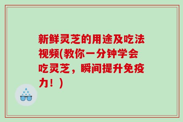 新鲜灵芝的用途及吃法视频(教你一分钟学会吃灵芝,瞬间提升免疫力!) 新鲜灵芝的用途及吃法视频(教你一分钟学会吃灵芝,瞬间提升免疫力!)