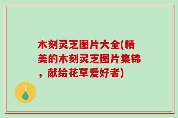 木刻灵芝图片大全(精美的木刻灵芝图片集锦,献给花草爱好者) 木刻灵芝图片大全(精美的木刻灵芝图片集锦,献给花草爱好者)