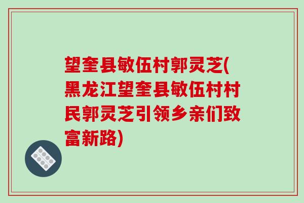 望奎县敏伍村郭灵芝(黑龙江望奎县敏伍村村民郭灵芝引领乡亲们致富新路) 望奎县敏伍村郭灵芝(黑龙江望奎县敏伍村村民郭灵芝引领乡亲们致富新路)