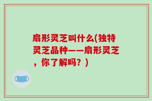 扇形灵芝叫什么(独特灵芝品种——扇形灵芝,你了解吗?) 扇形灵芝叫什么(独特灵芝品种——扇形灵芝,你了解吗?)
