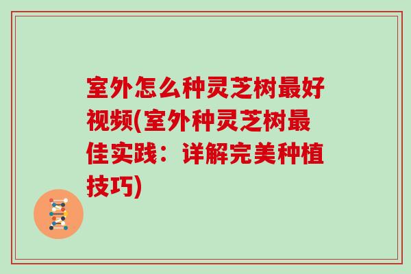 室外怎么种灵芝树好视频(室外种灵芝树佳实践：详解完美种植技巧)