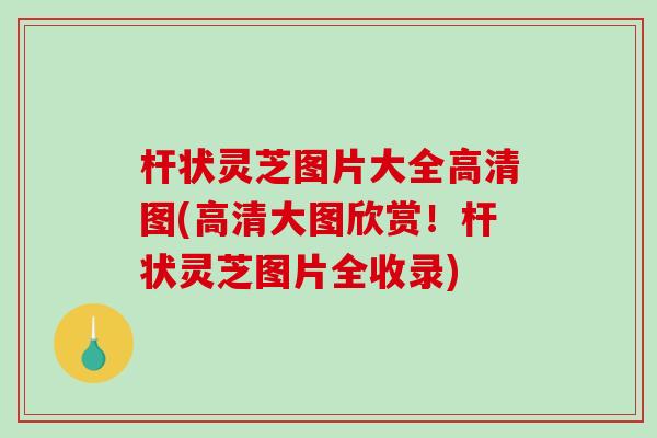 杆状灵芝图片大全高清图(高清大图欣赏!杆状灵芝图片全收录) 杆状灵芝图片大全高清图(高清大图欣赏!杆状灵芝图片全收录)