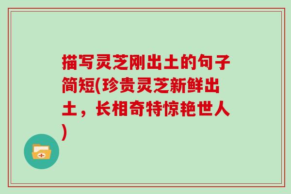 描写灵芝刚出土的句子简短(珍贵灵芝新鲜出土,长相奇特惊艳世人) 描写灵芝刚出土的句子简短(珍贵灵芝新鲜出土,长相奇特惊艳世人)