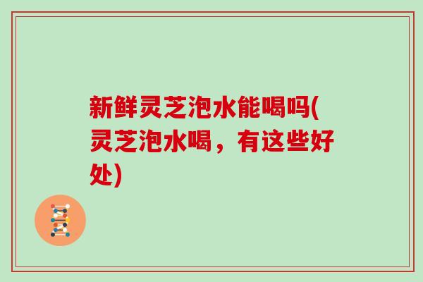 新鲜灵芝泡水能喝吗(灵芝泡水喝,有这些好处) 新鲜灵芝泡水能喝吗(灵芝泡水喝,有这些好处)