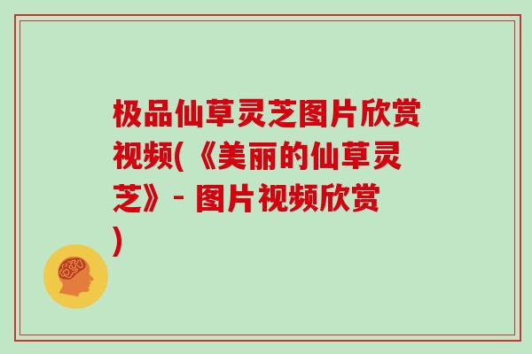 极品仙草灵芝图片欣赏视频(《美丽的仙草灵芝》- 图片视频欣赏) 极品仙草灵芝图片欣赏视频(《美丽的仙草灵芝》- 图片视频欣赏)