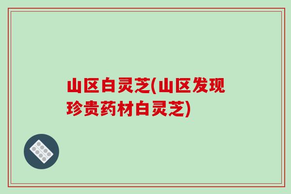 山区白灵芝(山区发现珍贵药材白灵芝) 山区白灵芝(山区发现珍贵药材白灵芝)