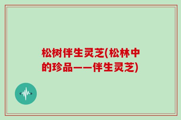 松树伴生灵芝(松林中的珍品——伴生灵芝)