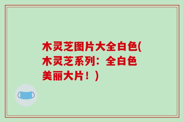 木灵芝图片大全白色(木灵芝系列:全白色 美丽大片!) 木灵芝图片大全白色(木灵芝系列:全白色 美丽大片!)