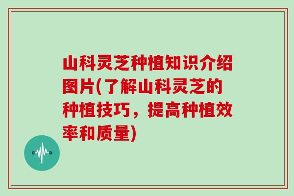山科灵芝种植知识介绍图片(了解山科灵芝的种植技巧,提高种植效率和质量) 山科灵芝种植知识介绍图片(了解山科灵芝的种植技巧,提高种植效率和质量)