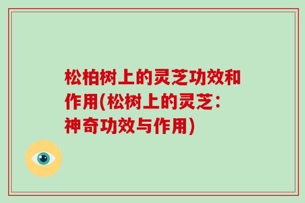松柏树上的灵芝功效和作用(松树上的灵芝:神奇功效与作用) 松柏树上的灵芝功效和作用(松树上的灵芝:神奇功效与作用)