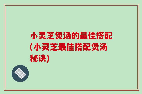小灵芝煲汤的佳搭配(小灵芝佳搭配煲汤秘诀)