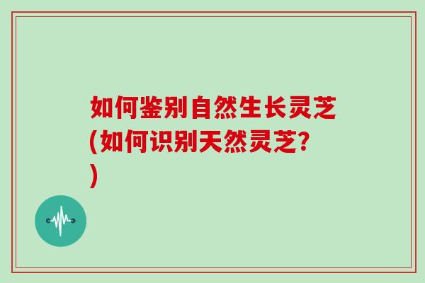 如何鉴别自然生长灵芝(如何识别天然灵芝?) 如何鉴别自然生长灵芝(如何识别天然灵芝?)