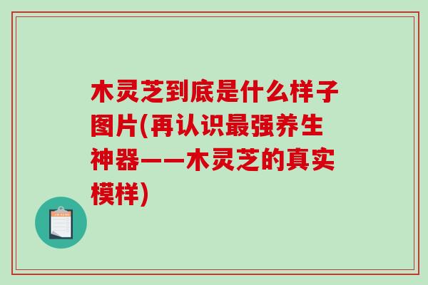木灵芝到底是什么样子图片(再认识强养生神器——木灵芝的真实模样) 木灵芝到底是什么样子图片(再认识强养生神器——木灵芝的真实模样)